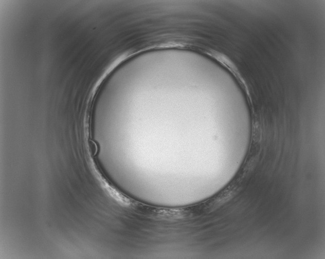 X0000080710859200701021026