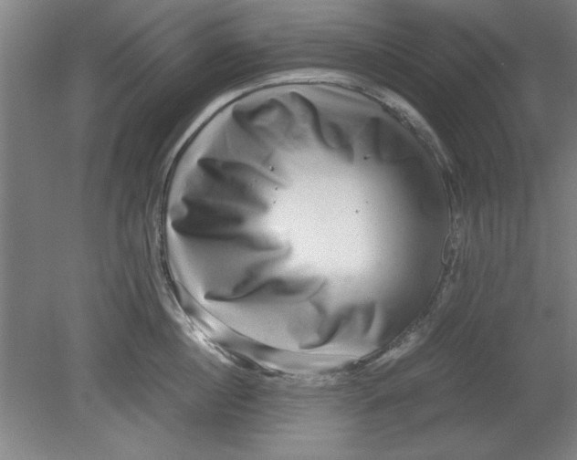 X0000080710860200701021026