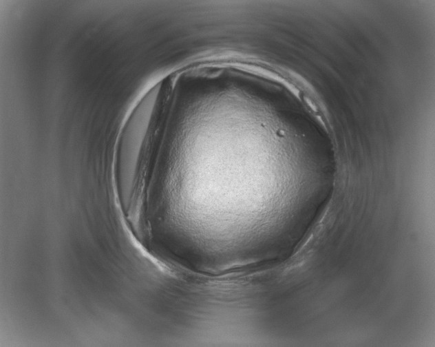 X0000080710863200701021026