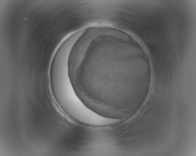 X0000080710864200701021027