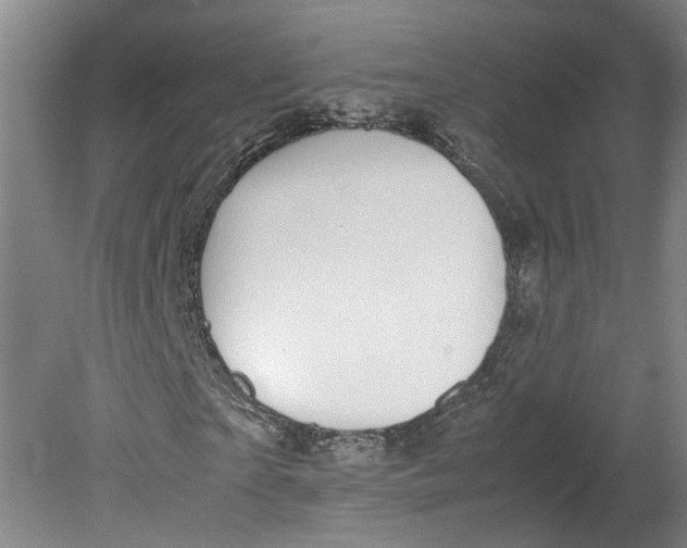 X0000080710865200701021026