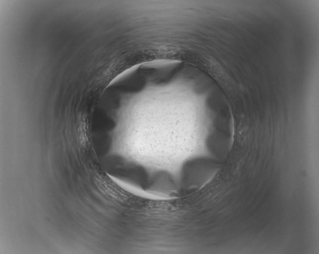 X0000080710866200701021026