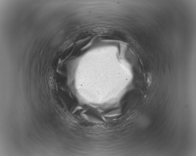 X0000080710867200701021026