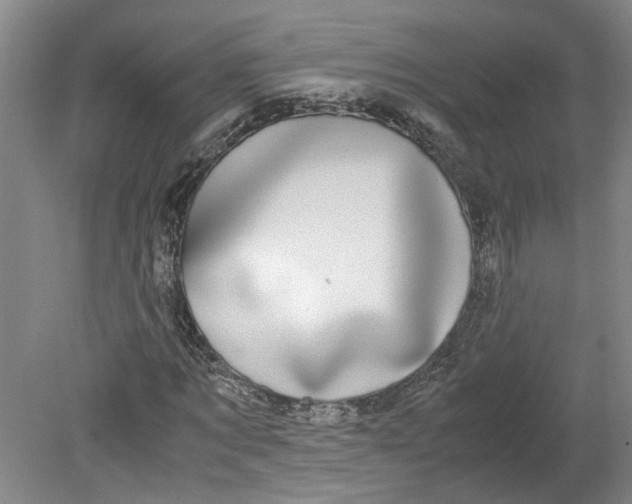 X0000080710869200701021026