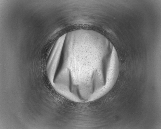 X0000080710870200701021026