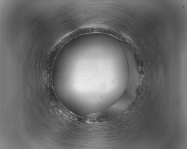 X0000080710872200701021026