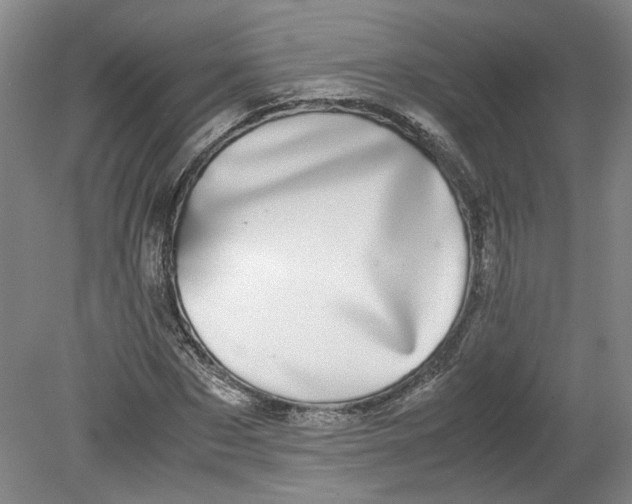 X0000080710873200701021026