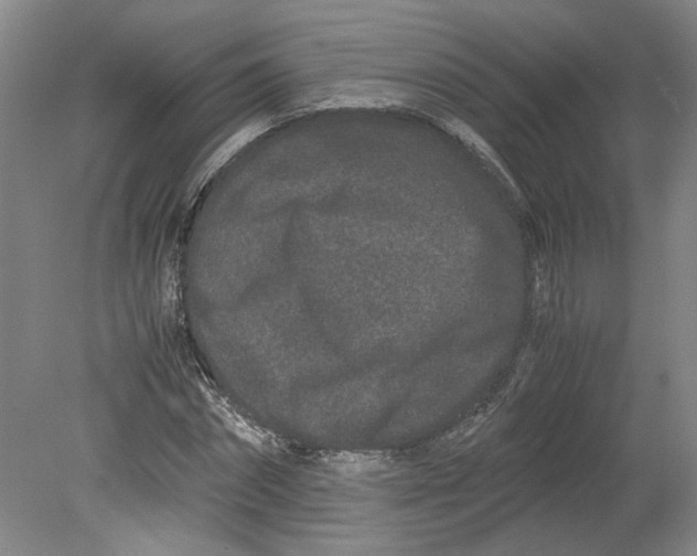 X0000080710874200701021026