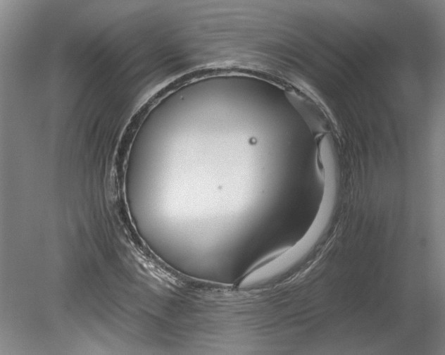 X0000080710876200701021026