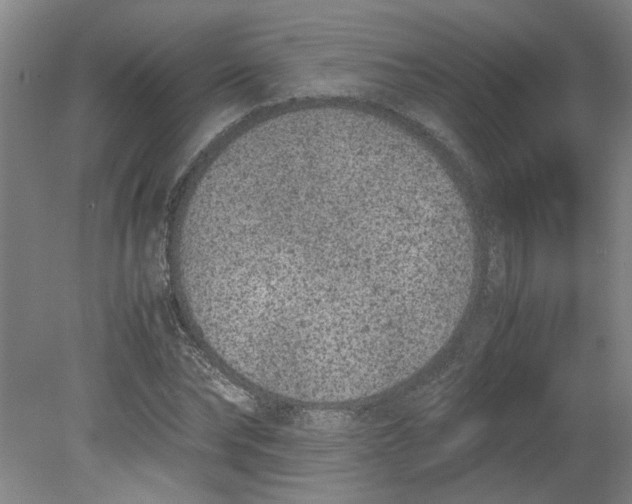 X0000080710878200701021025