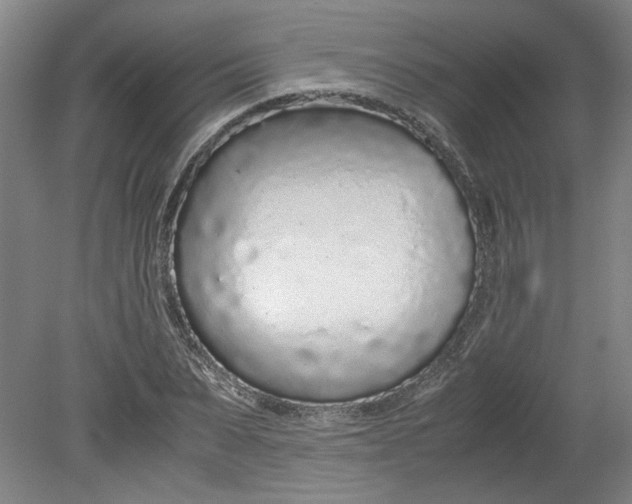 X0000080710879200701021025