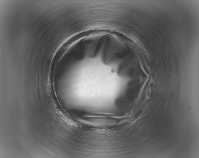 X0000080710880200701021025