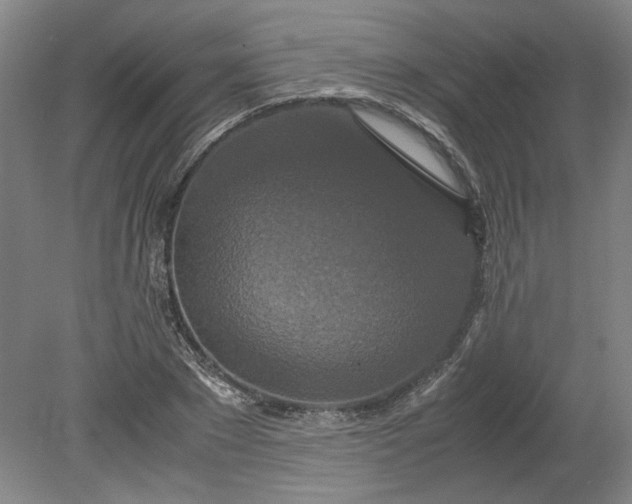 X0000080710881200701021025