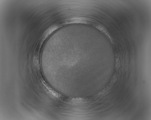 X0000080710882200701021025