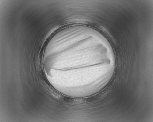 X0000080710883200701021025