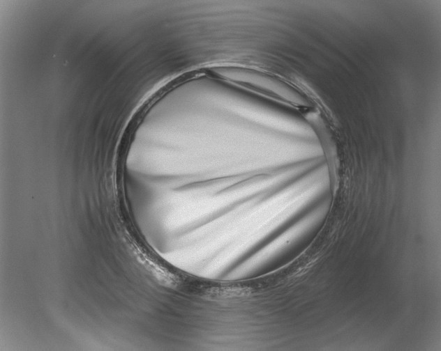 X0000080710884200701021025