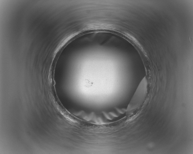 X0000080710885200701021025