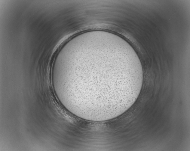 X0000080710886200701021025