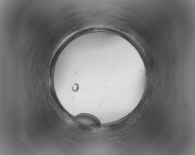 X0000080710887200701021025