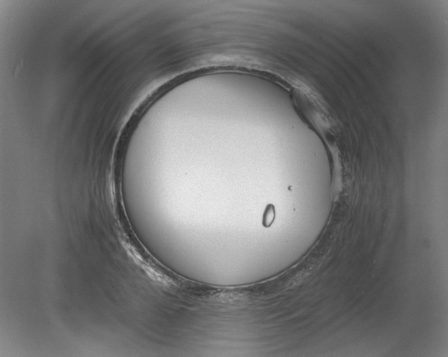 X0000080710888200701021025