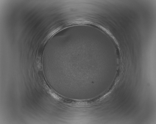 X0000080710889200701021025