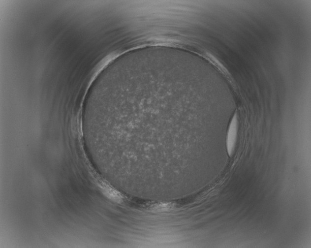 X0000080710891200701021025