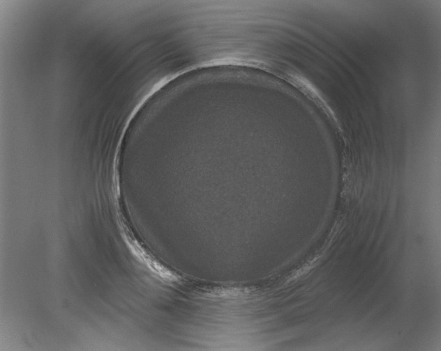 X0000080710892200701021025