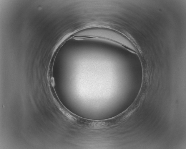 X0000080710893200701021025