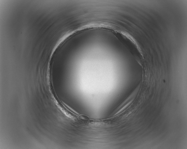 X0000080710894200701021025