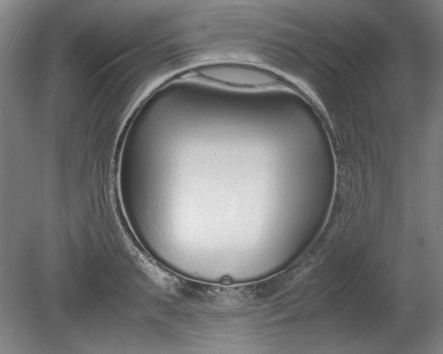 X0000080710895200701021025