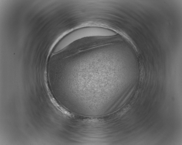 X0000080710896200701021025