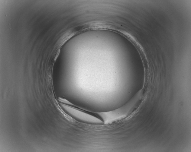 X0000080710897200701021025