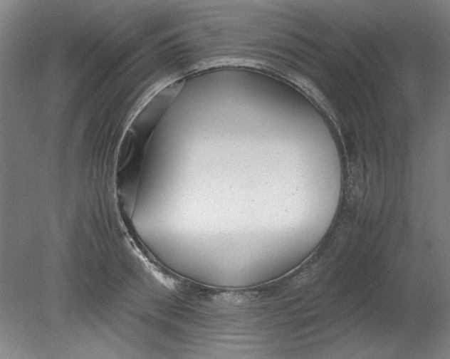 X0000080710898200701021025