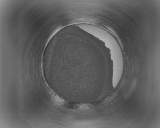 X0000080710899200701021025