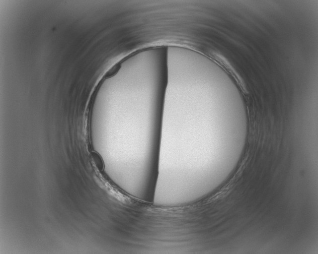 X0000080710900200701021025