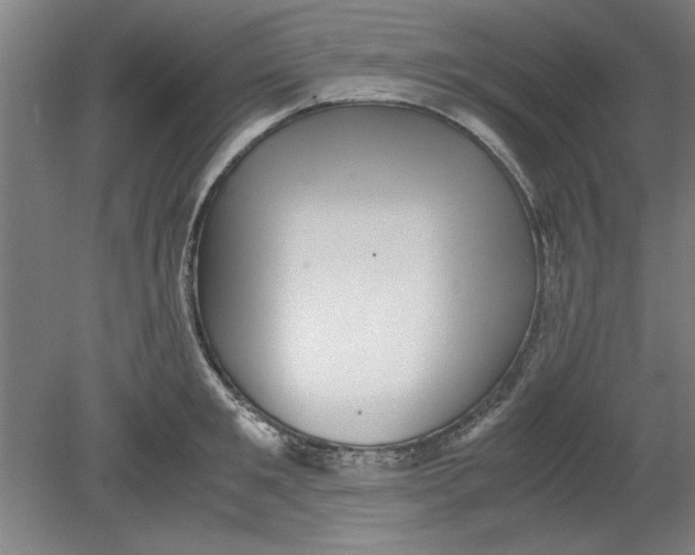 X0000080710901200701021025