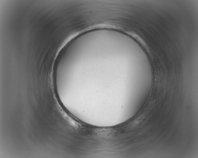 X0000080710902200701021025