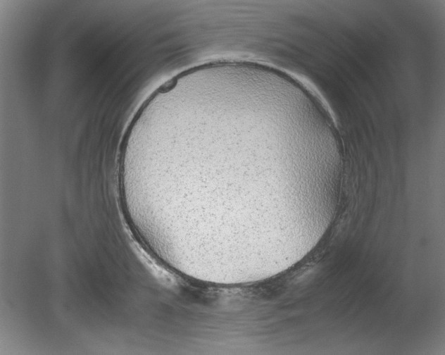 X0000080710903200701021025