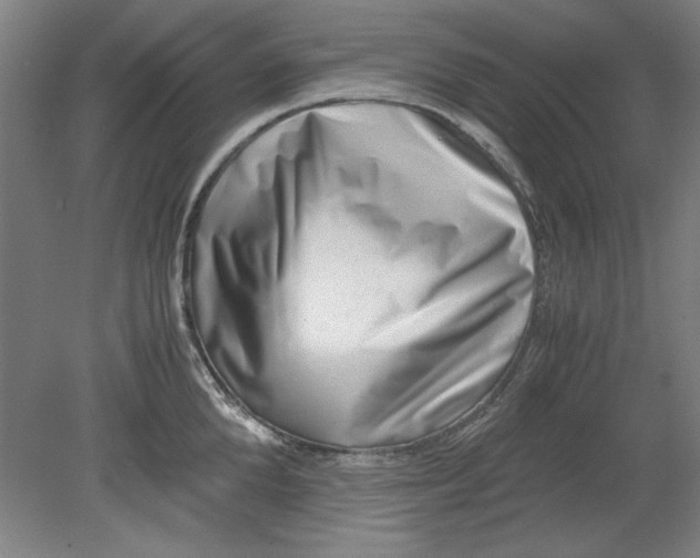 X0000080710904200701021025