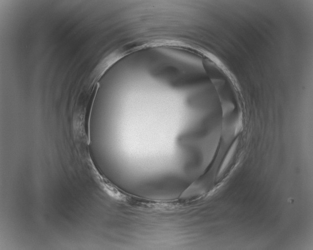 X0000080710905200701021025