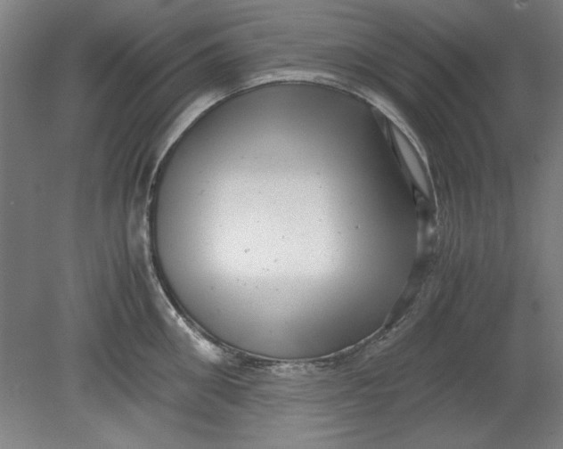 X0000080710906200701021025