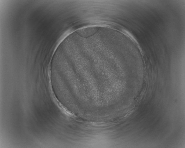 X0000080710907200701021025