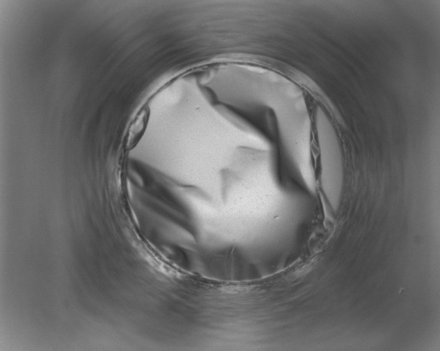 X0000080710908200701021025