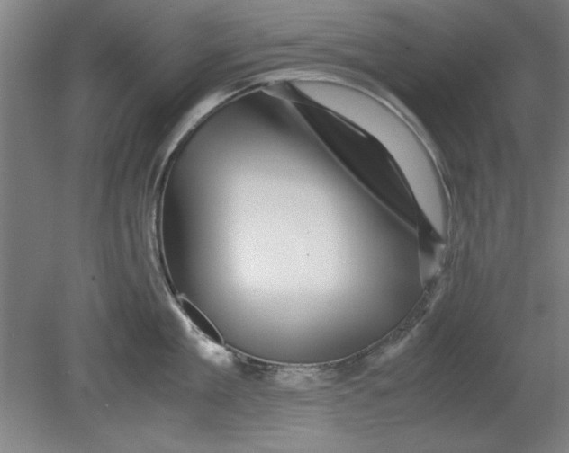 X0000080710909200701021025