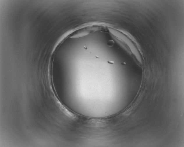 X0000080710910200701021025