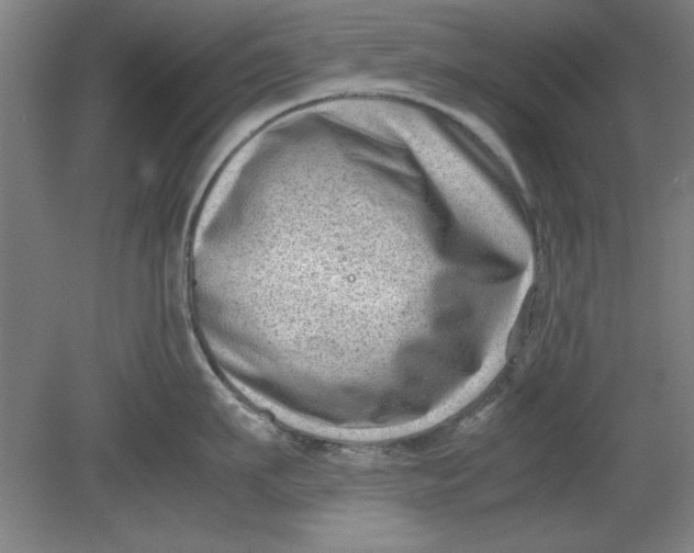 X0000080710911200701021025