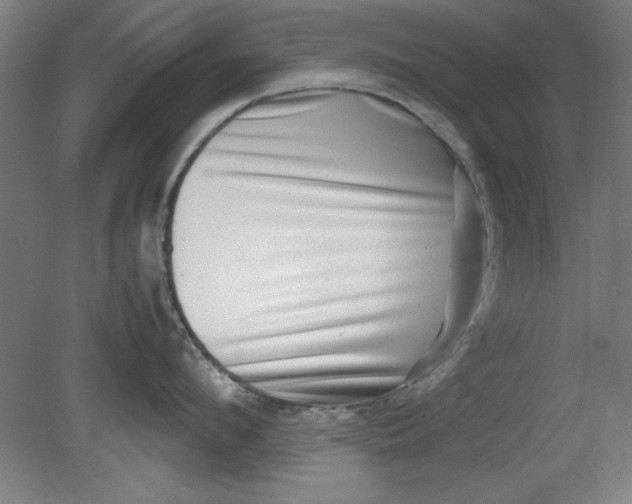 X0000080710912200701021025