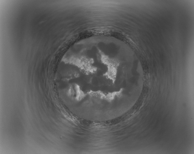 X0000080710913200701021024