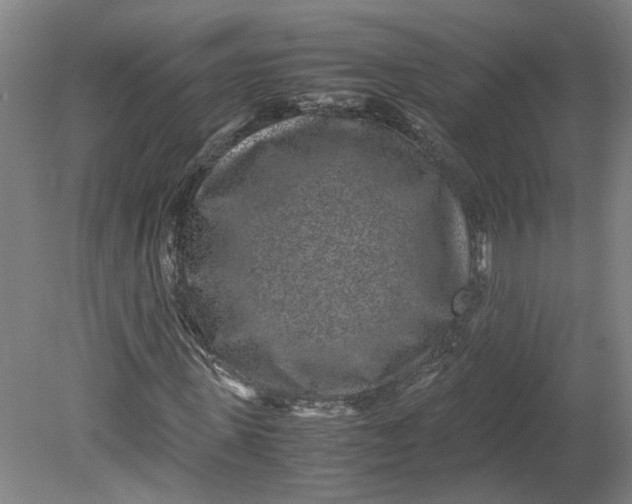 X0000080710915200701021024