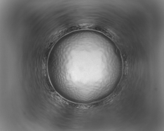 X0000080710917200701021024